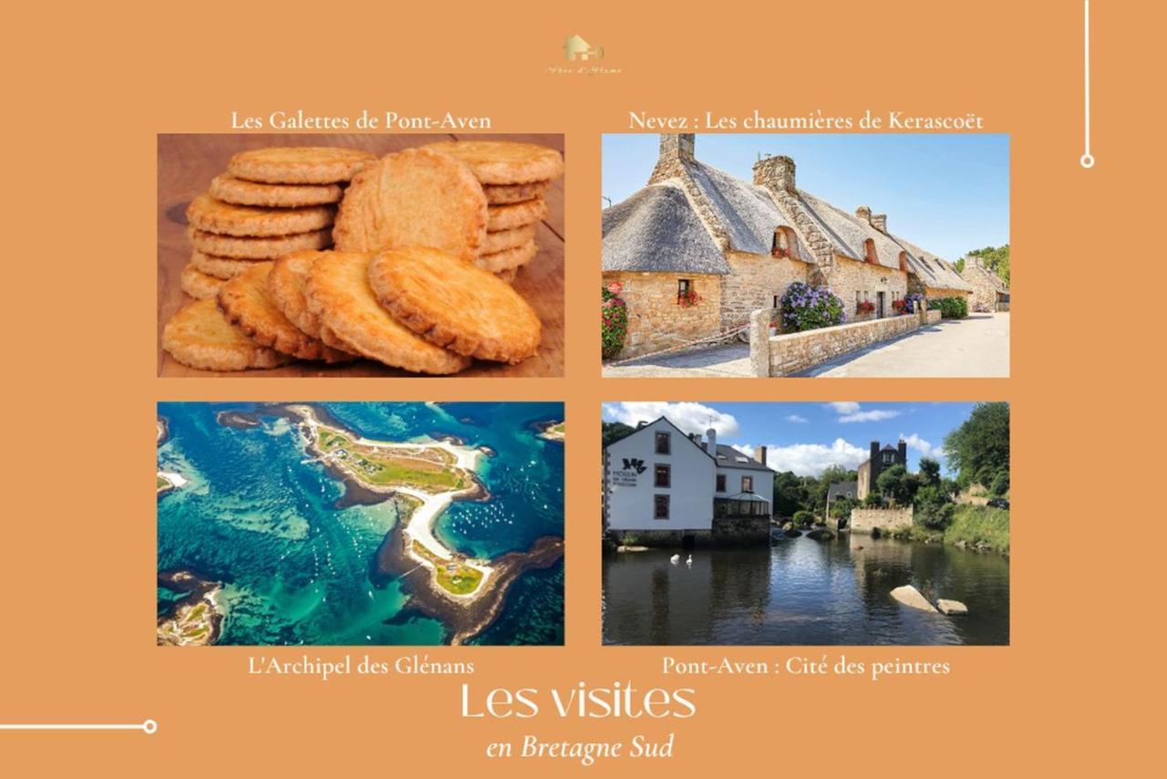 Le Tiguidou, Cosy, Lumineux, 2-6 Pers, Plage 300M Moëlan-sur-Mer Esterno foto